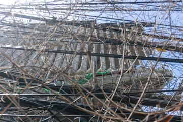 Urban Structure with Twisted Wires and Vines
