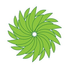 Obraz premium green leaf isolated on white background