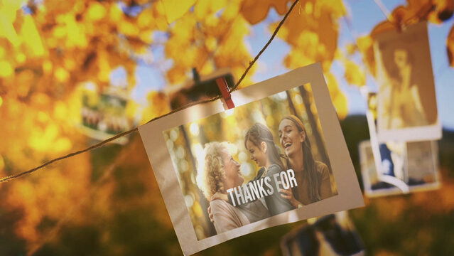 Photo Gallery in the Autumn Garden