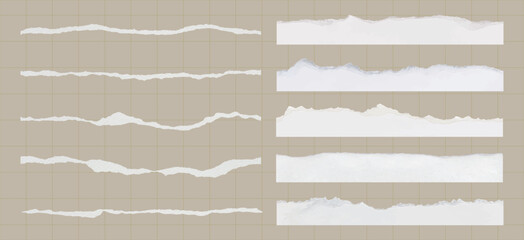 Collection of torn paper edges on a grid background. Torn paper strips, torn paper textures, and torn paper designs create a rustic, artistic feel. Ripped element set. Vectors.
