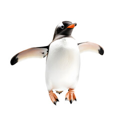 Happy penguin jumping with joy and flapping its wings, isolated on white background.