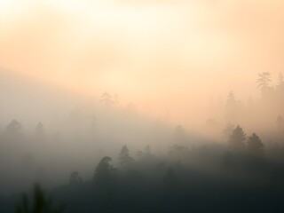 Fototapeta premium Serene Misty Forest Landscape with Golden Morning Light – Ultra HD Nature Background