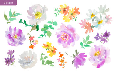 Watercolor abstract purple and white peonies, wild flowers and leaves vector clip art set with transparent background/ Hand painted watercolor floral  illustration set for pattern and background.	
