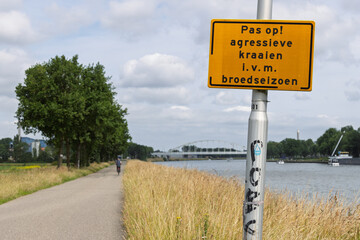 A bright yellow warning sign, advises of aggressive crows during breeding season. Next to a wide...