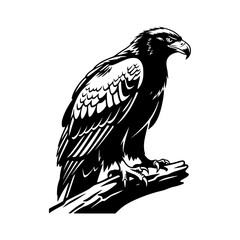 Majestic Eagle Perched on Branch a Symbol of Freedom and Power A Bird of Prey