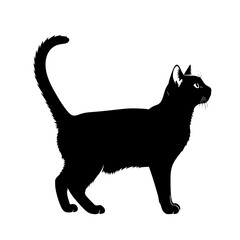 Majestic Feline Friend A Silhouette Portrait of a Domestic Cat Standing Profile View
