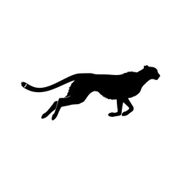 Exploring the Elegant Silhouette of a Cheetah A Study of Form Movement and Power in Nature