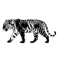 The Majestic Tiger A Symbol of Strength Grace and Power Roaming Through the Lush Green Jungles