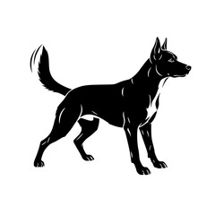 Exploring the World of Working Dogs Training Obedience Agility and Their Unique Characteristics