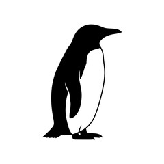 Obraz premium A Detailed Study on Penguin Behavior Ecological Adaptations and Conservation Strategies in Changing Environments