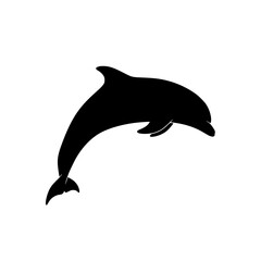 Understanding Dolphin Intelligence Communication and Conservation A Guide to Marine Mammals and Oceanic Ecosystems