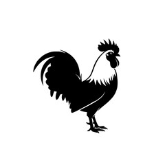 Rooster Silhouette Standing Proudly With Detailed Feathers and Distinct Crest in a Black and White Composition