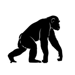 Obraz premium Primate Illustration Depicting Animal Silhouette On All Fours Standing on the Ground and Looking