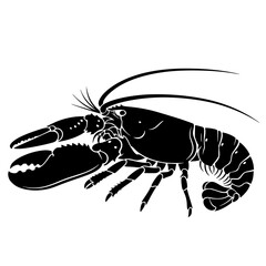 Understanding the American Lobster A Comprehensive Look at Biology Habitat and Conservation Efforts