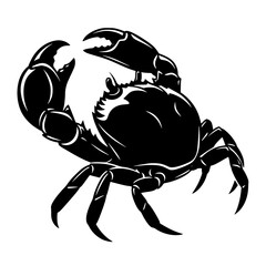 The Majestic Crab A Symbol of Resilience Adaptability and Mysteriousness with its Unique Body Shape