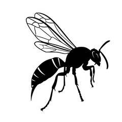 A Comprehensive Guide to Understanding Wasps Their Behavior Habitat and Ecological Significance in Our Environment