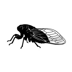 A Comprehensive Look at Cicadas Life Cycle Behavior Ecology and Impact on the Environment