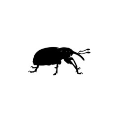 Silhouette of a Weevil Insect with Elongated Snout Antennae and Legs in a Simple Black and White Graphic