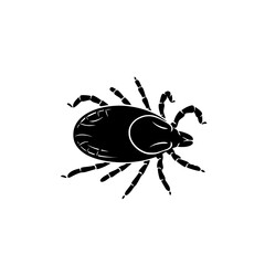 Understanding Tick Bites Risk Factors Prevention Strategies and Proper Removal Techniques for Health Protection