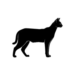 Elegant Feline Silhouette Standing Against a Neutral Background Animal Cat Pet Domestic Mammal