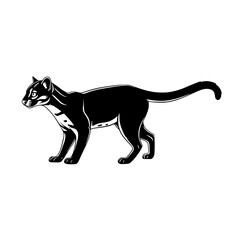 Obraz premium Elegant Feline Walking Wildlife Illustration of Carnivorous Mammal in Grayscale for Animal Lovers and Nature Enthusiasts
