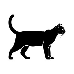 Exploring the Mysterious World of Felines Understanding Cat Behavior and Characteristics of These Amazing Animals
