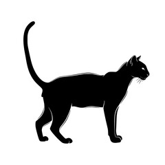 The mysterious and enigmatic black cat standing majestically in the soft light of the moon