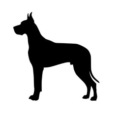 Exploring the Majestic Great Dane An In Depth Look at Temperament Training and Breed Characteristics