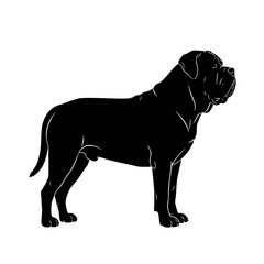 Exploring the World of Large Breed Dogs Majestic Gentle Giants and Their Remarkable Characteristics