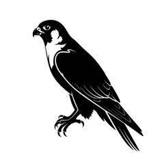 Majestic Peregrine Falcon A Symbol of Speed Precision and Adaptability in Natural World Wildlife Beauty of Nature