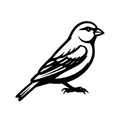 A Small and Charming Bird with a Distinctive Silhouette Perched on a Branch in the Sunlight