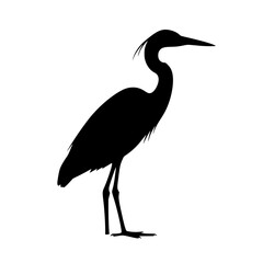 Obraz premium Silhouette of a Graceful Heron Standing Tall Against a White Backdrop Bird in Tranquil Serenity
