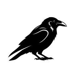 Understanding the Symbolism of Ravens in Different Cultures Exploring Raven Folklore and Mythology for Storytelling and Art Inspiration