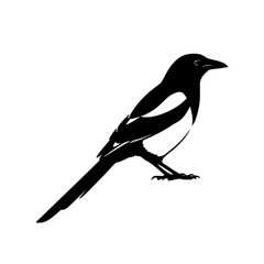 A Striking Silhouette Capturing the Bold Elegance and Mysterious Charm of the Magpie in Simplistic Detail