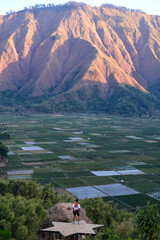 Golden sunrise bathes Pergasingan Hill, revealing lush rice paddies from Selong Hill viewpoint in Sembalun, Lombok—tranquil harmony of agriculture and mountain landscape.