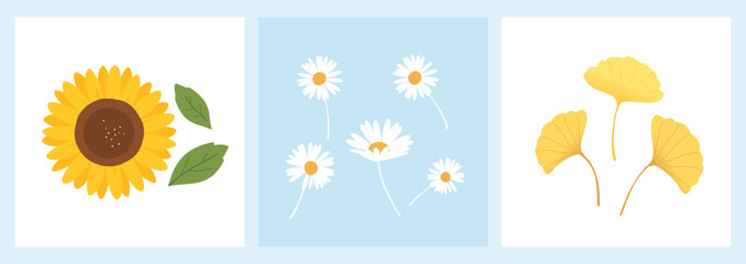 Sunflower, daisies and ginkgo leaves icon signs on blue and white backgrounds vector. 