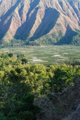 Majestic view of Pergasingan Hill glowing under soft morning light, seen from Selong Hill in Sembalun, Lombok—where dramatic ridgelines meet tranquil rural charm.