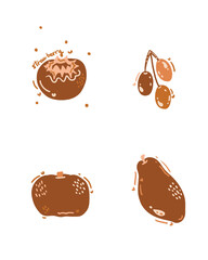 Fruits vegetables vector
