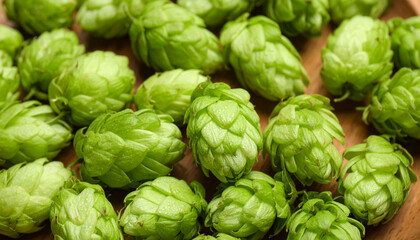 Fototapeta premium Close-up view of fresh green hop cones scattered on a wooden surface, used in brewing and beer production