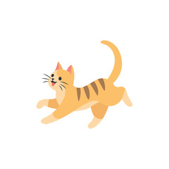 Running Cat
