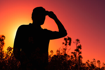 Back lit silhouette of a male farmer standing in blooming cultivated rapeseed crop plantation field
