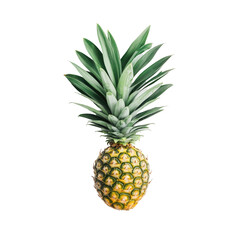 Fototapeta premium Close-up of a pineapple