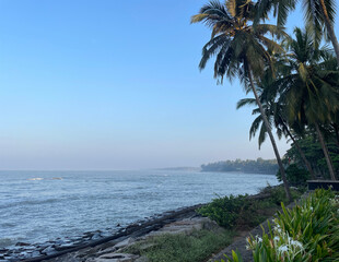 Tropical Bliss in God's Own Country

