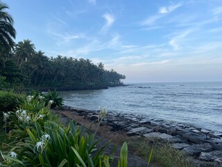 Tropical Coastline Serenity
