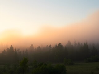 Fototapeta premium Serene Misty Forest Landscape with Golden Morning Light – Ultra HD Nature Background