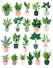Assorted Potted Plants: A Collection of Indoor Greenery on White Background