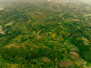 Drone aerial of scenic forested peak