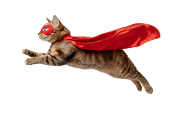 Playful and energetic cat wearing a bright red cape appearing to fly through a plain white studio background with a confident and mischievous expression