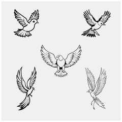 Obraz premium Black and white beutiful birds105