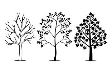 Obraz premium Fall Pin Oak Leaf Collection Design